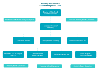 Image of the Maternity team senior structure.png